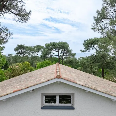 Bista Eder Willa Pyla-sur-Mer